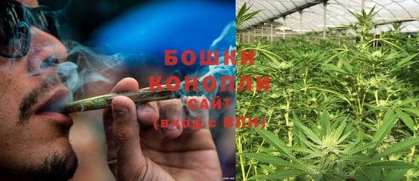 крисы Осташков