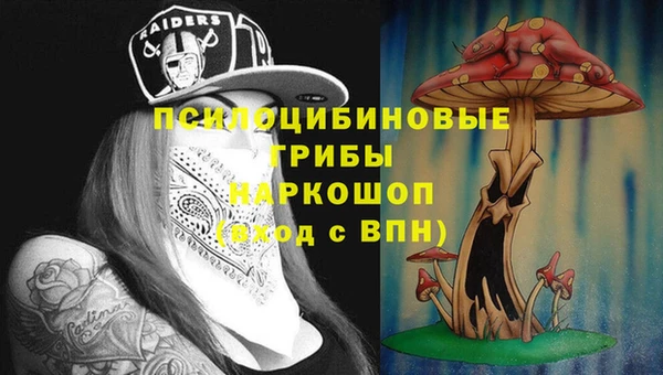 прущая мука Армянск