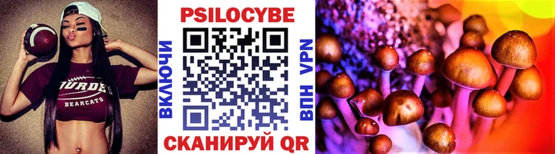 закладка  Ступино  Псилоцибиновые грибы мицелий 